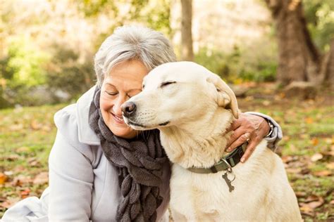 dog insurance for senior citizens.